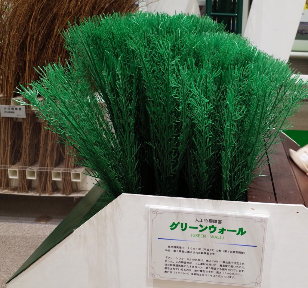 保存版 障害レース完全攻略 初心者向けからガチ予想法まで 鈴木ショータの大穴マシマシ競馬