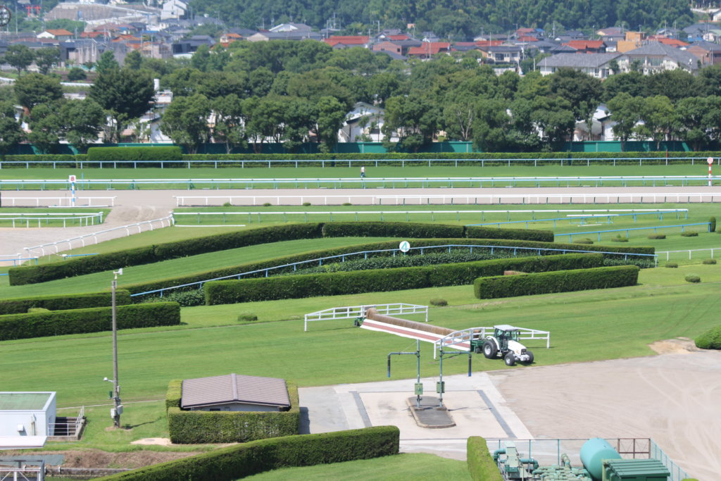 保存版 障害レース完全攻略 初心者向けからガチ予想法まで 鈴木ショータの大穴マシマシ競馬